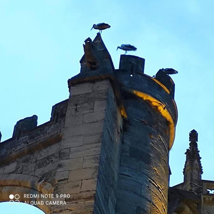 Logis Corneille I Narbona Exterior foto